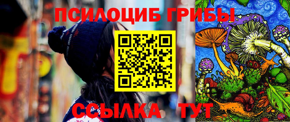 Псилоцибиновые грибы Psilocybe  Псилоцибиновые грибы прущие грибы  Вход с VPN  Соль-Илецк 